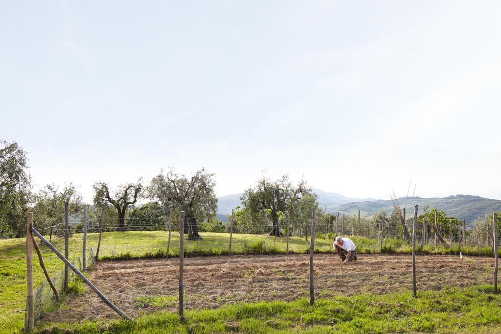 Podere La Casuccia Malmantile Rum bild