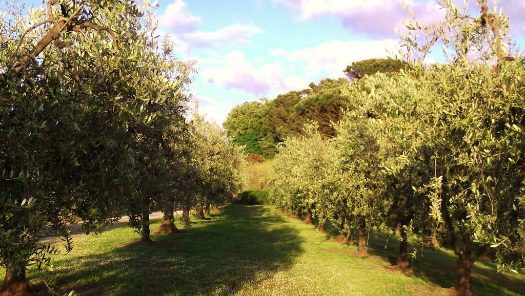 Podere La Casuccia Malmantile Rum bild